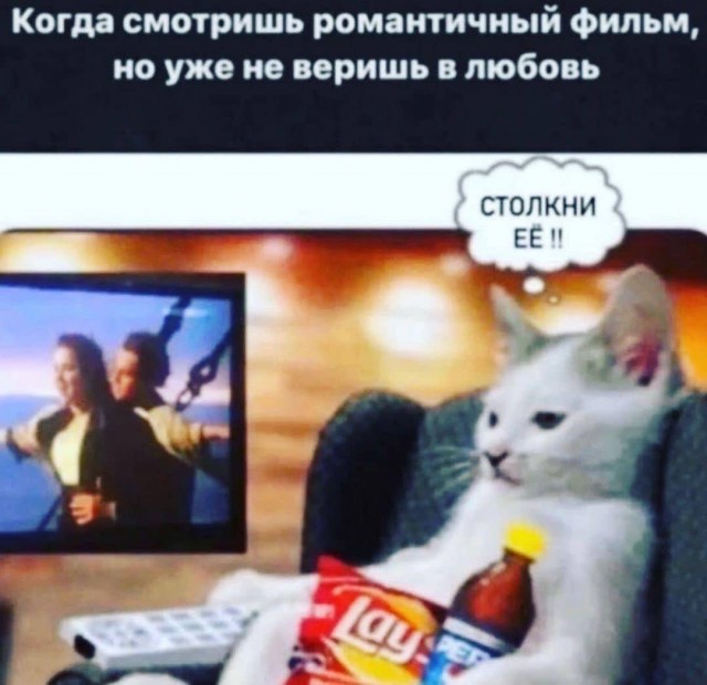Всяческие картинки 31.01.2022