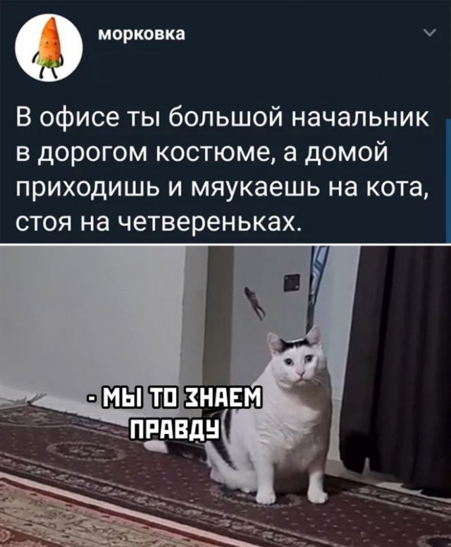 Картинки и мемы, всем хороших выходных