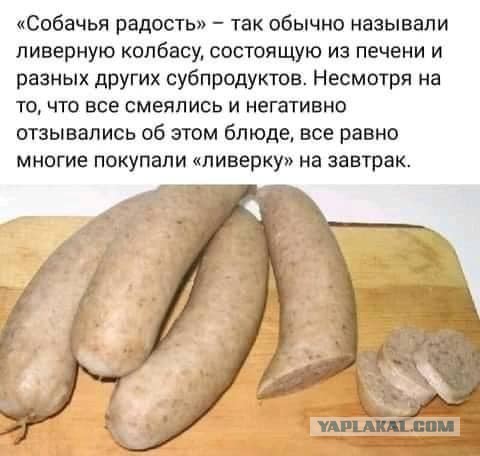 Собачья радость