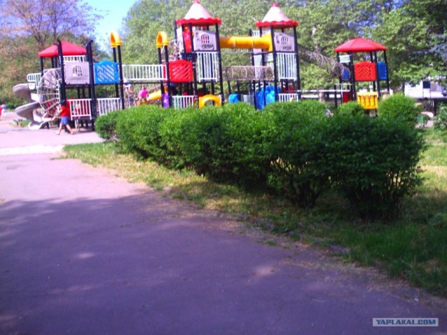 Соме дэйс фром май лайф