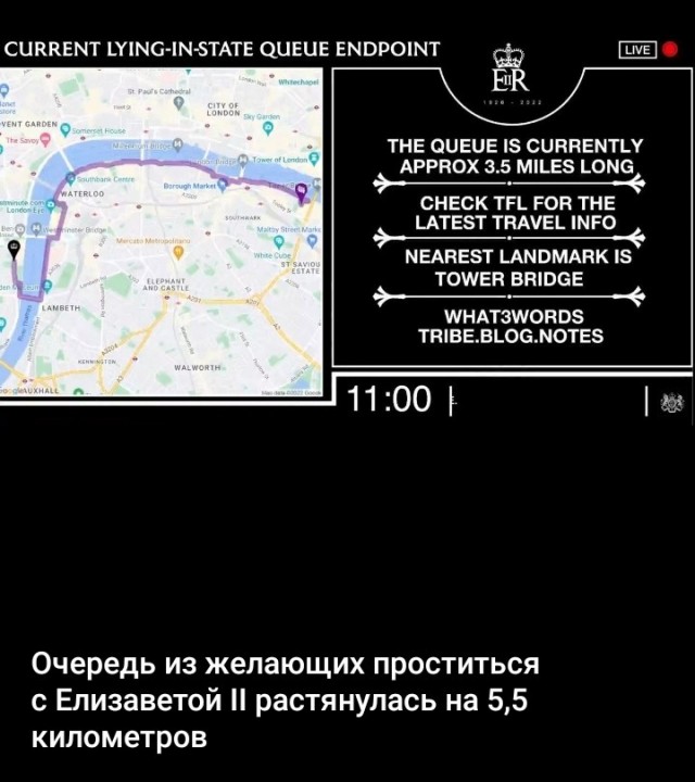 Цветы у Букингемского дворца