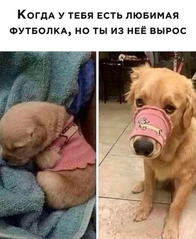 Картинки и мемы, всем хороших выходных