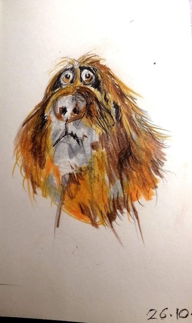 Блокнот командировочного