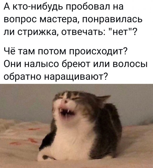 Так себе картинки 22.02.23