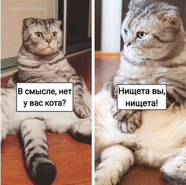 Так себе картинки 02.06.23