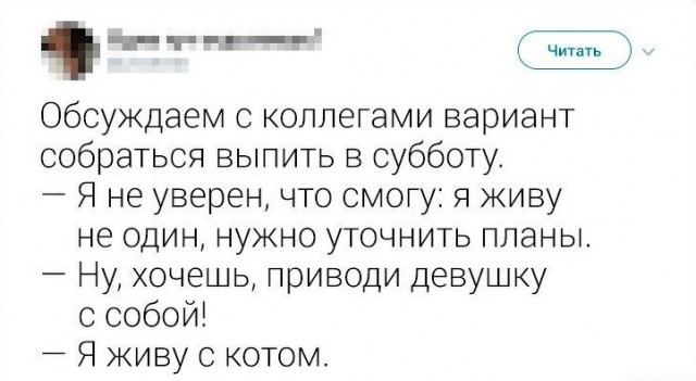 Так себе картинки 30.06.23