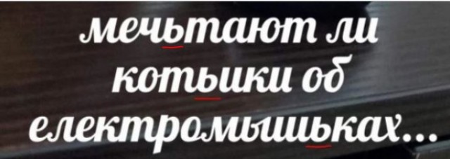 Нуштош 06.07.2023