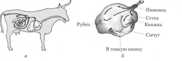 Не все у поляков плохо