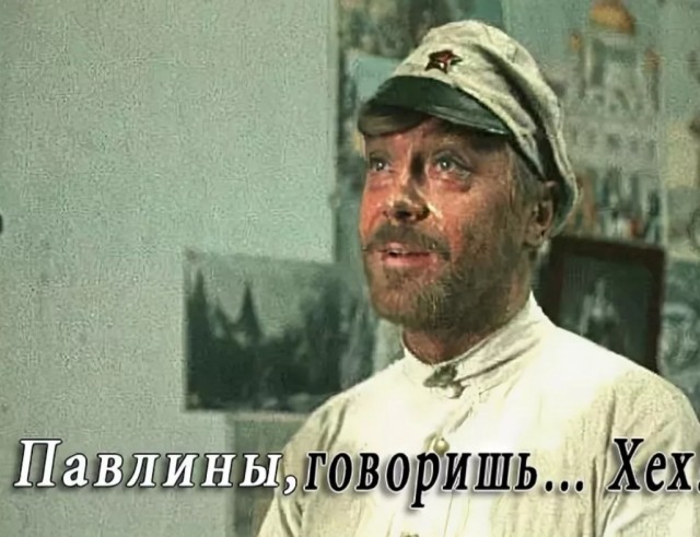Веселая ферма: Курочки