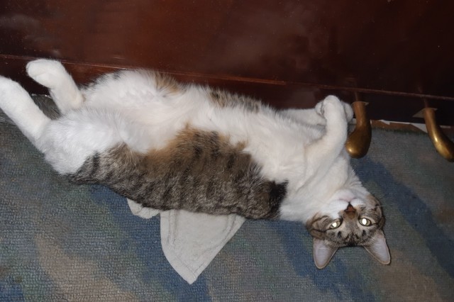 Сборник рассказов ЯПовских авторов. Обсуждение проблемы.