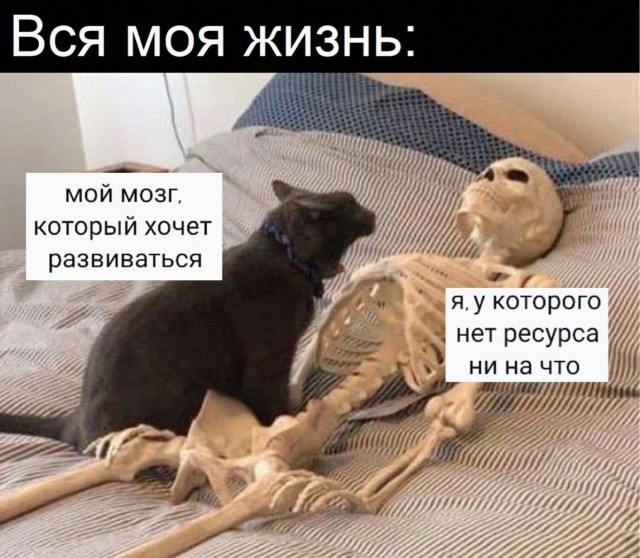 Отряд быстрого деградирования