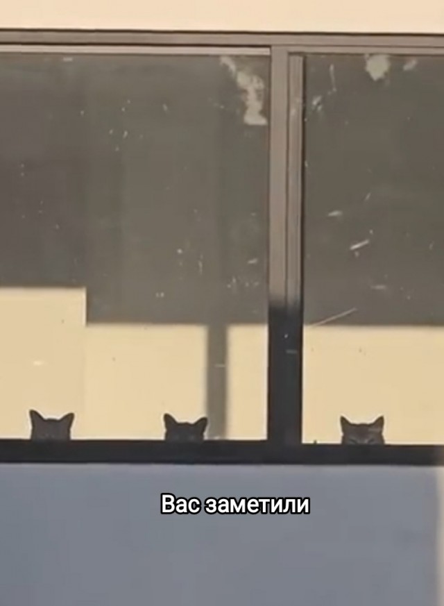 Никакие картинки
