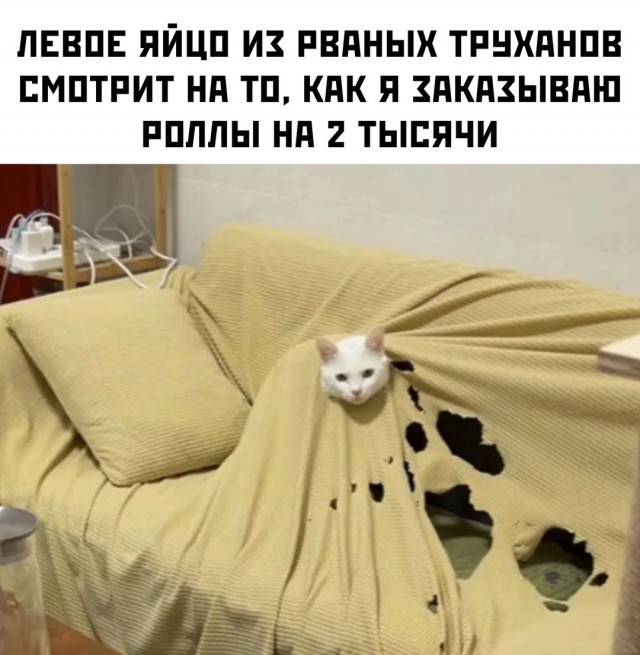 Весёлый полтишок 26.07.24