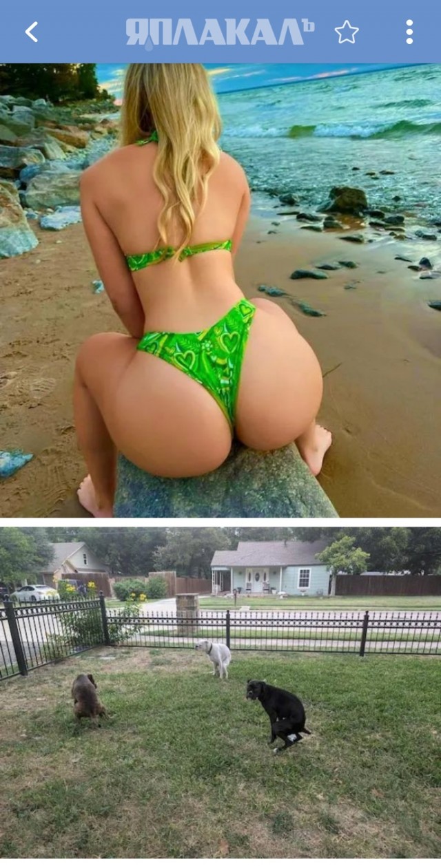ФотоВинегрет