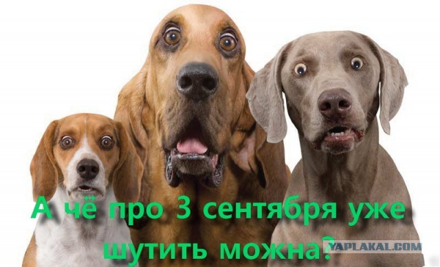 Картинки с надписями