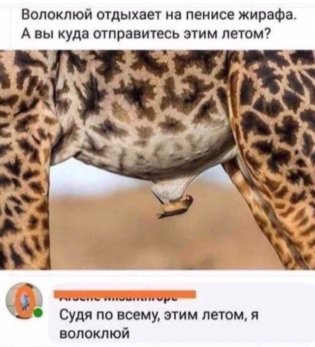 Появился шпаргалка по планированию отпуска без переплат