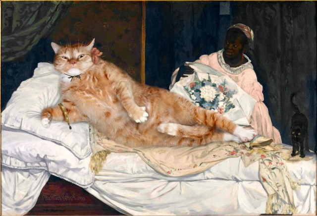 У нас кот