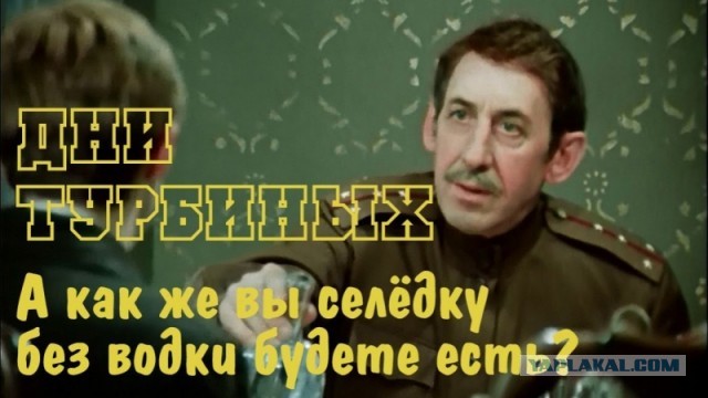 Селедка без водки