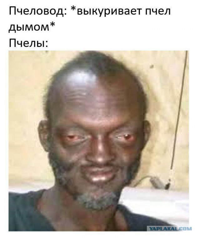 Еб@йшая еб@нин@