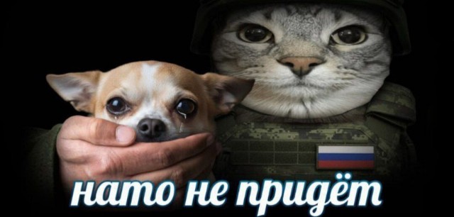 МИД Эстонии вызвал российского поверенного из-за ледокола вышедшего на помощь грузовым судам,застрявшим во льдах Финского залива