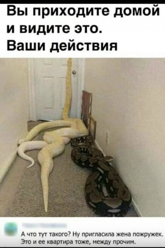 Так себе картинки 18.03.26