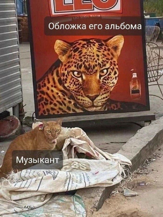 Так себе картинки 15.05.26