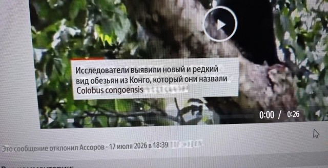 Хер знает кто это
