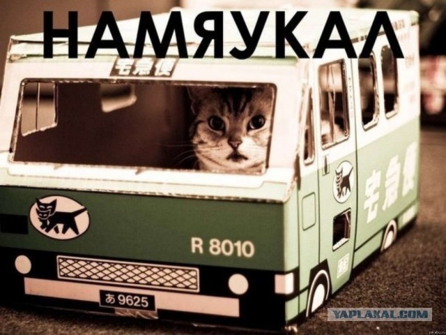 ...а подарили!