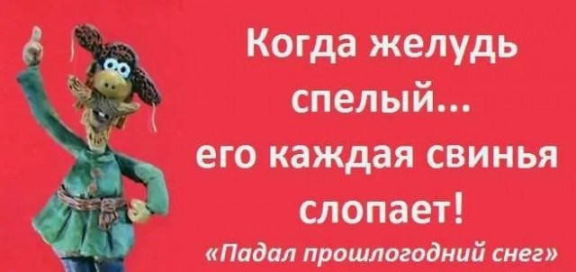 Про жёлуди)