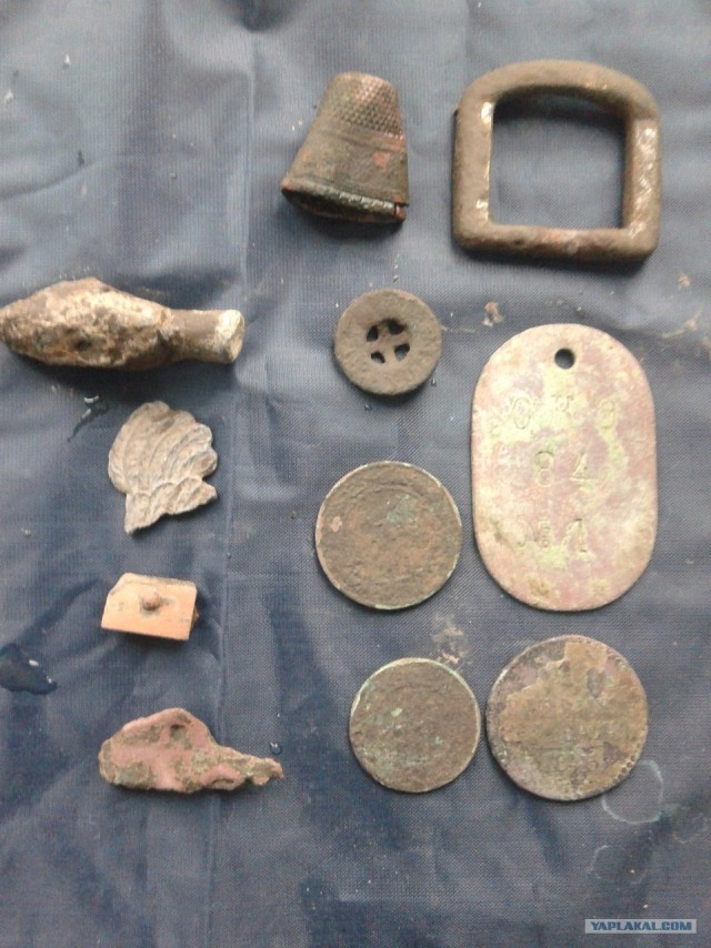 Нумизматика