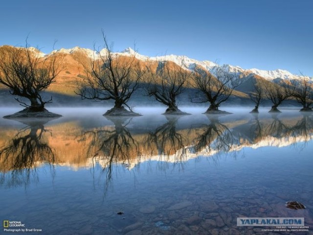 Лучшие фотографии от National Geographic за ноябрь