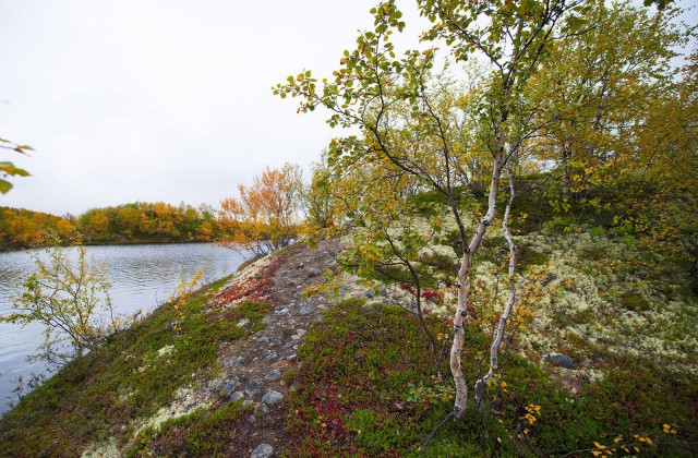 Поездка на Кольский полуостров.