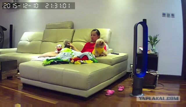 За что я люблю китайцев