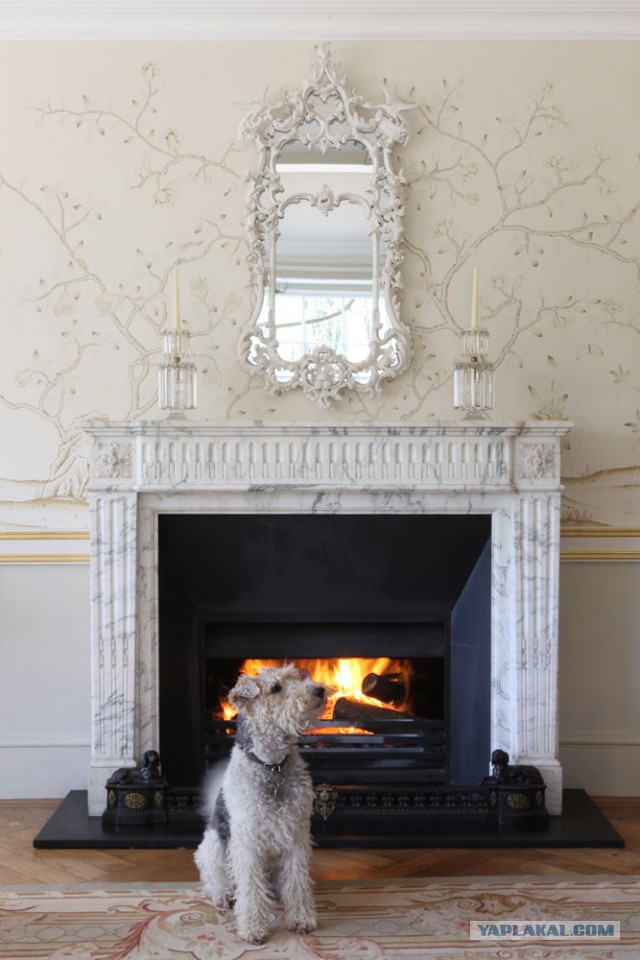 Собакочетверг