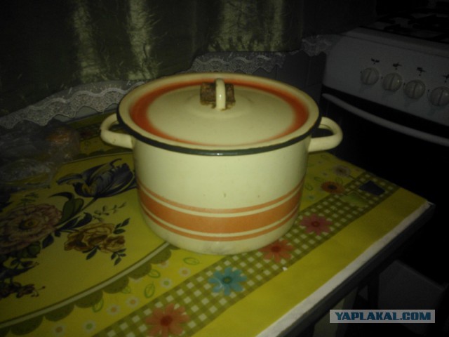 Кот сам знает, как ему удобно