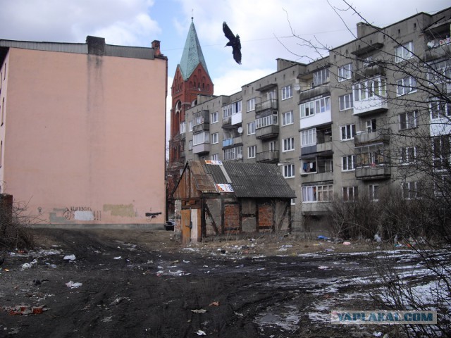 Вся Россия в одной фотографии