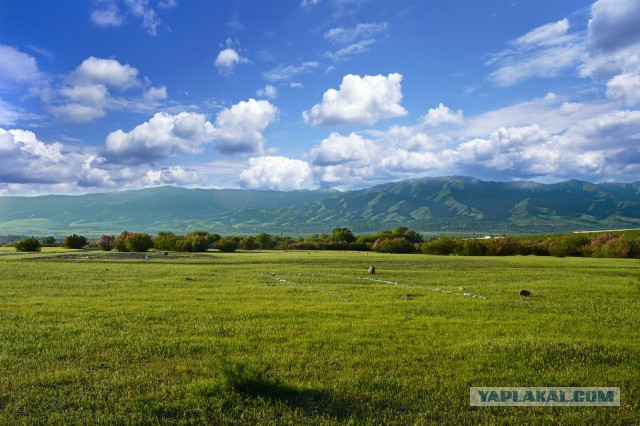 Фотоподборка