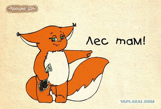 Конгрессмены США предложили обменять санкции на Крым