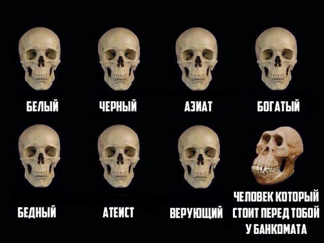 Абсурдный юмор ч.27