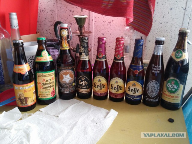 Мировая кулинария. День повара