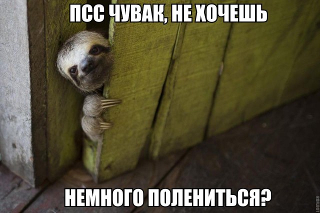 Порция абсурдного юмора на следующую неделю