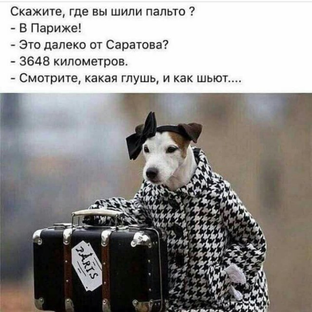 Просто картинки