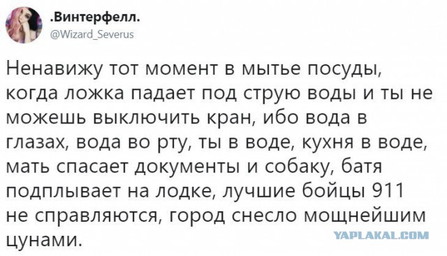 Тупик эволюции