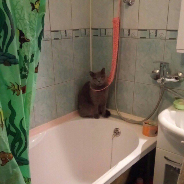Немного картинок в эту субботу
