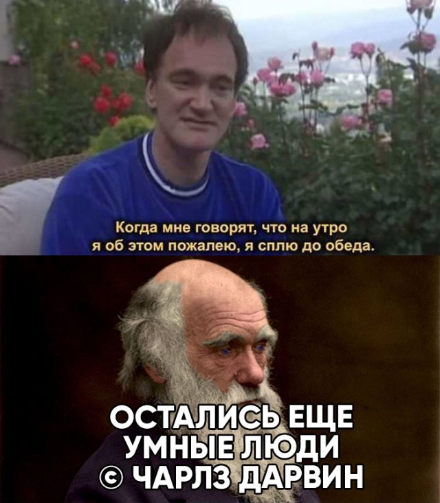 Немного картинок на вечер этой субботы