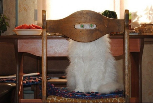 Немного милоты