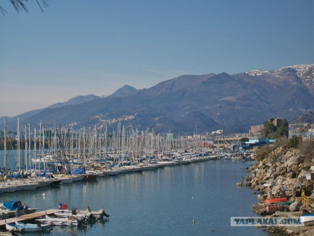 Сыр, груши и классовая ненависть