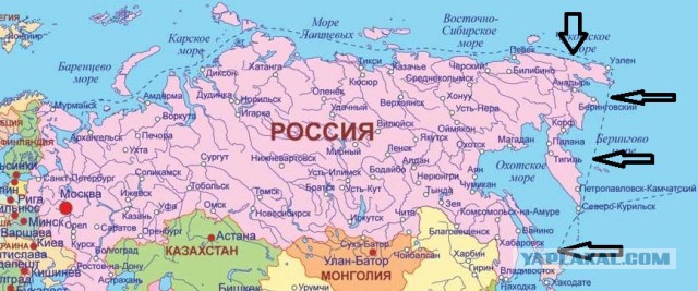 Похоже одного только леса китайцам теперь мало