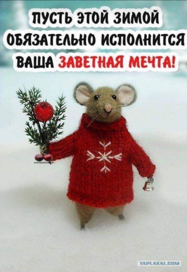 В ожидании Нового 2020 года!