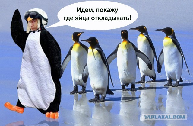 Украинский самолет был сбит двумя иранскими ракетами российского производства